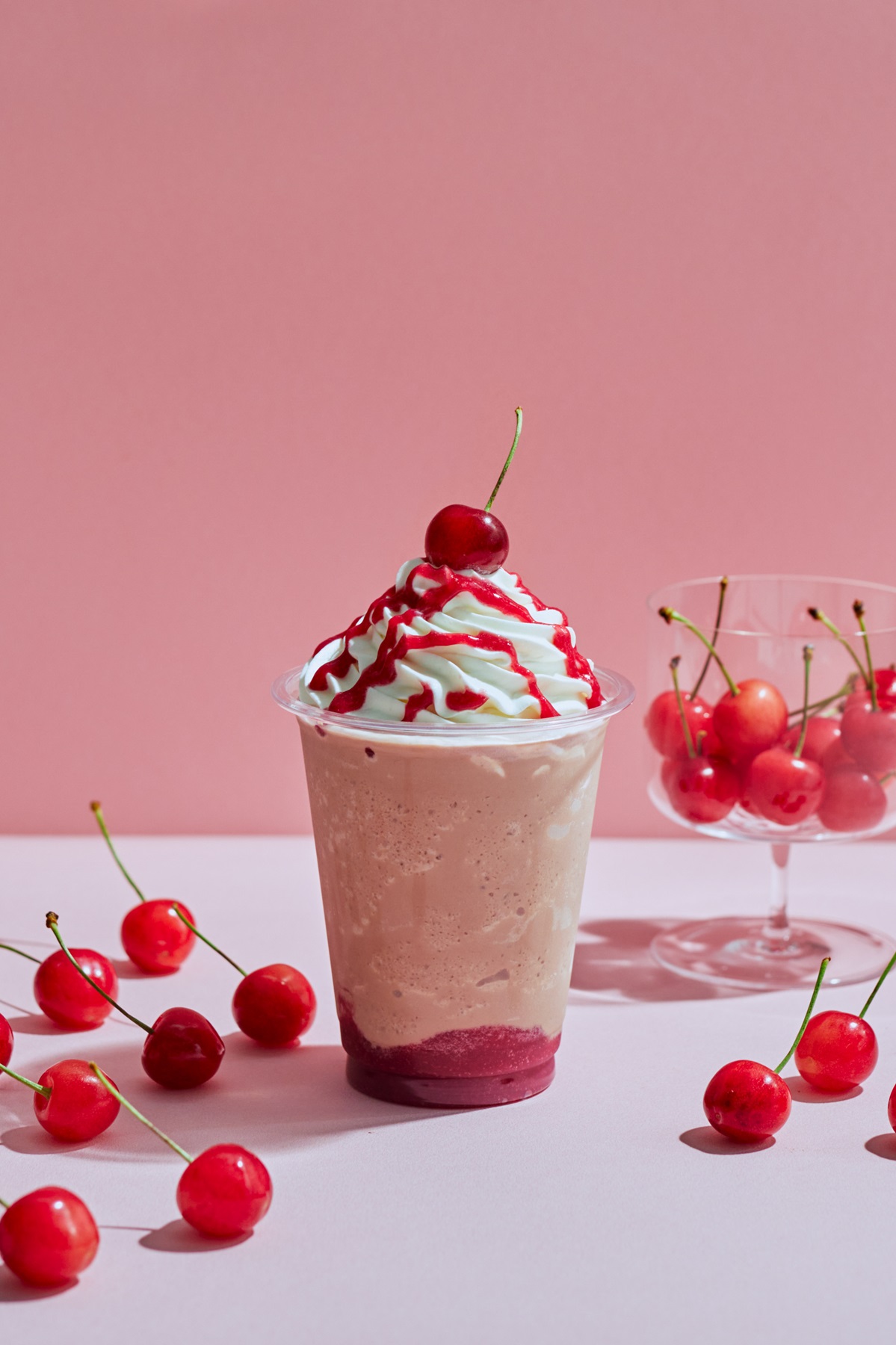 種子1000粒　デザートハーモニー　レオゴンザレス 種子1000粒 デザートハーモニー レオゴンザレス