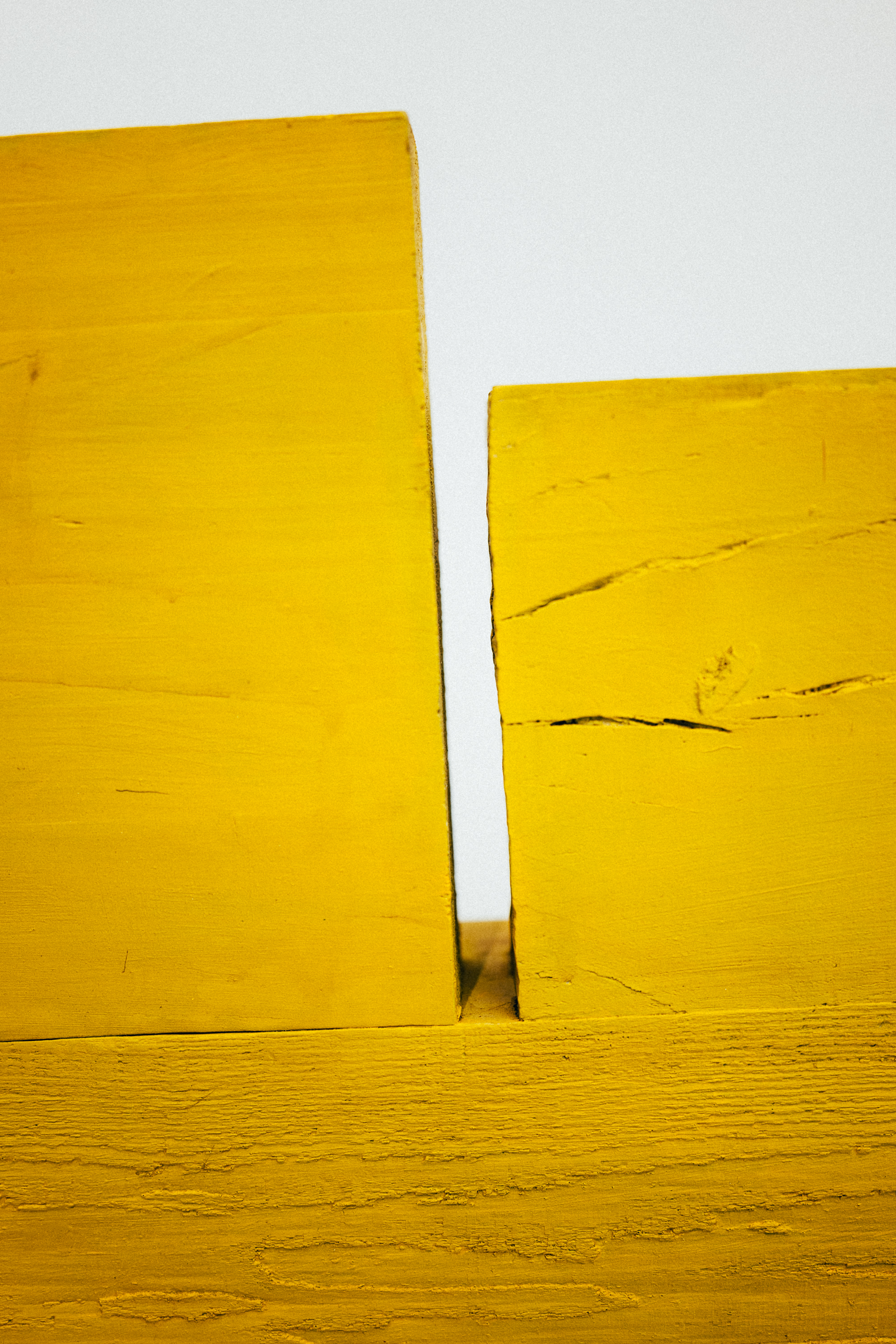 陰と陽を葉っぱに移して - 3