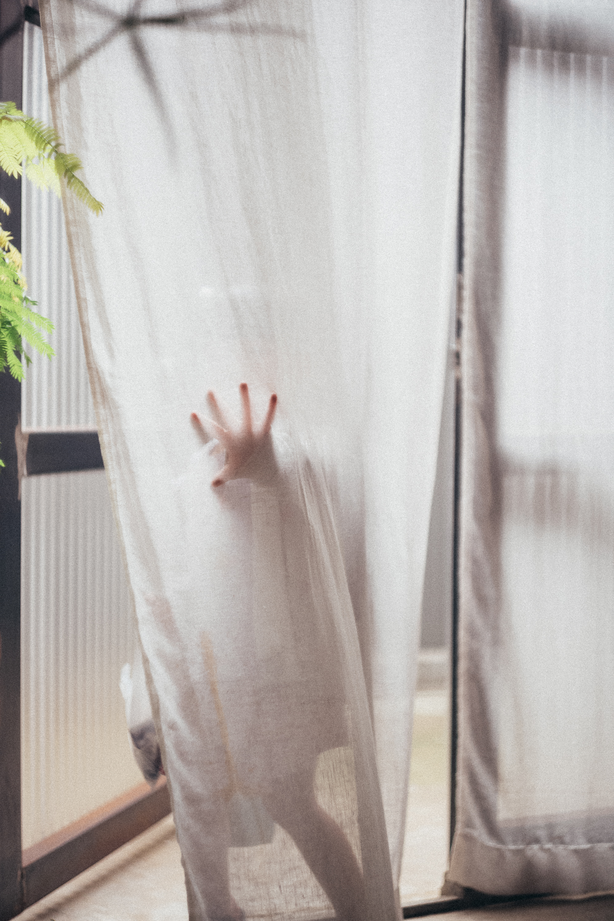 陰と陽を葉っぱに移して