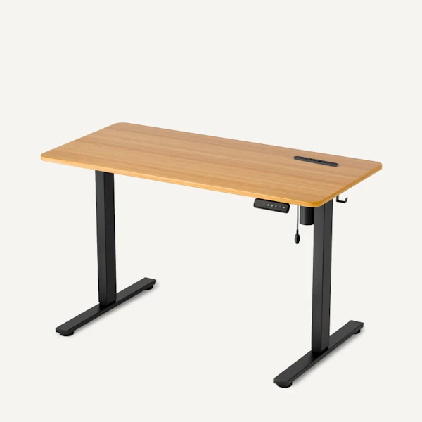 FlexiSpot EF1 Pro（100×60cm）