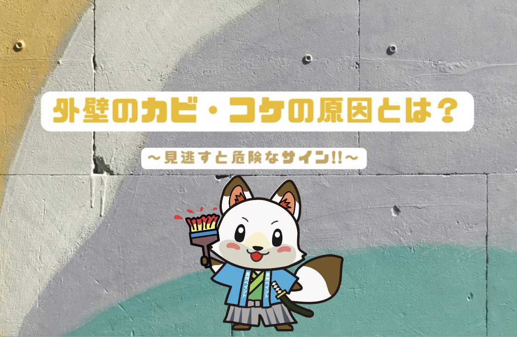 外壁のカビ・コケの原因とは?見逃すと危険‼️