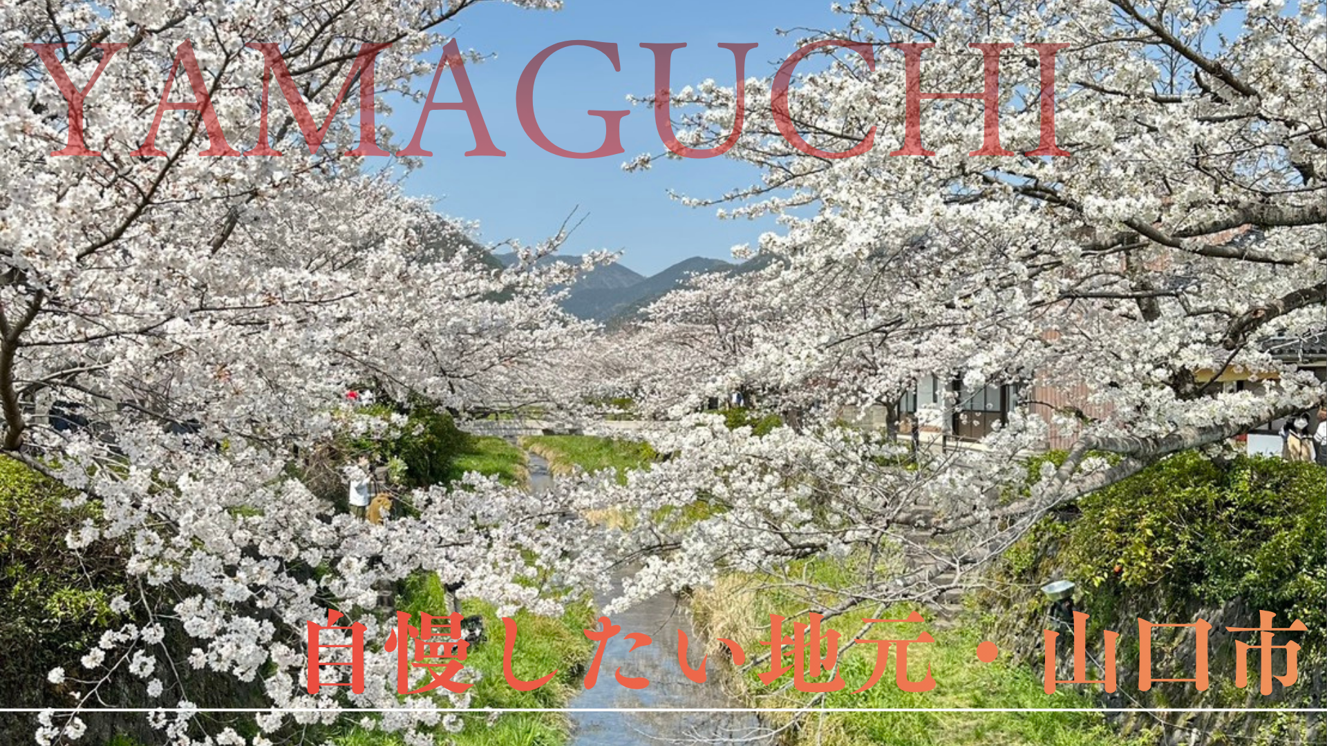 山口市の気候と魅力をご紹介‼️外壁塗装・屋根塗装の長州ペイントが自慢したい地元・山口市🏠✨