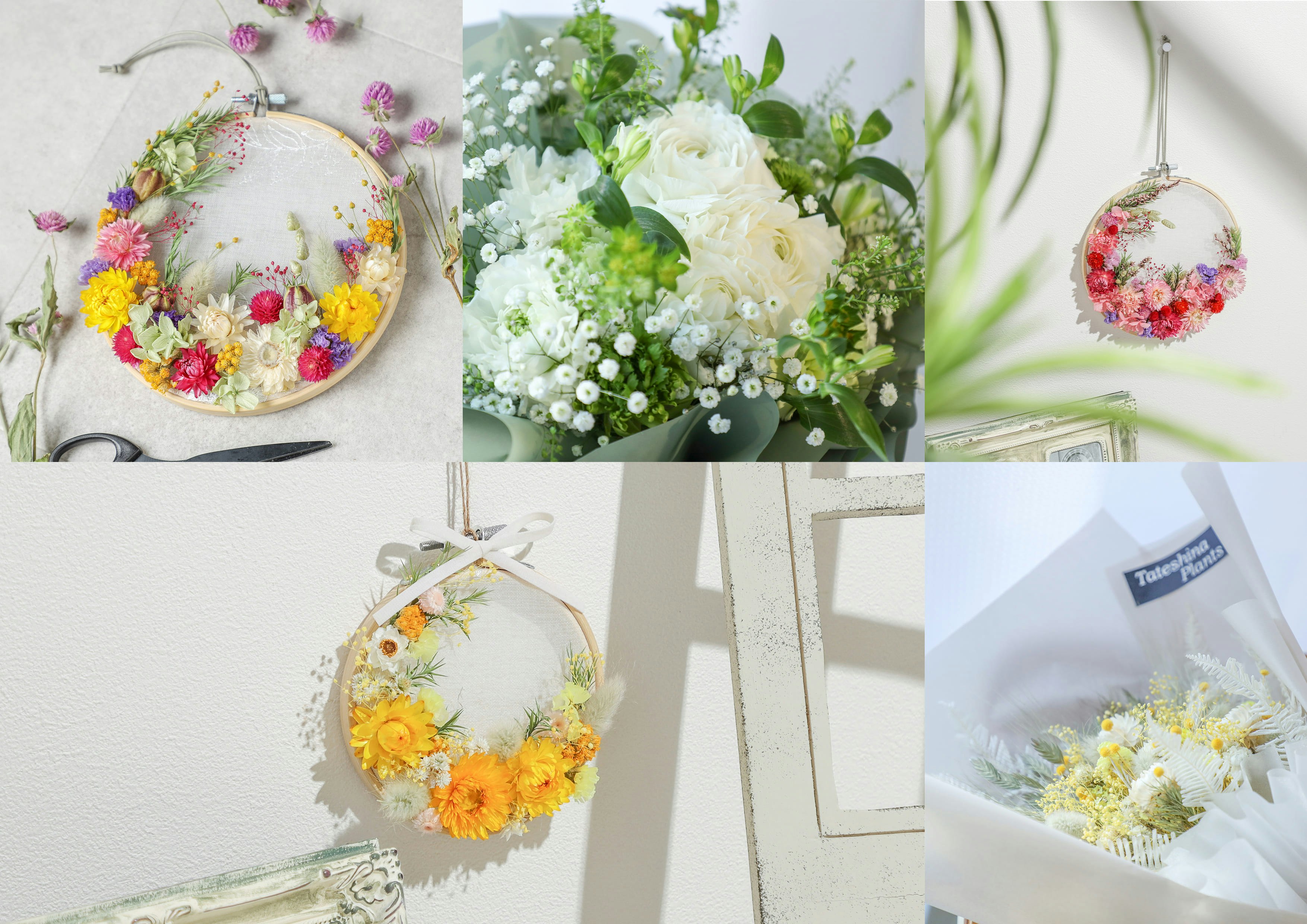 【撮影実績】蓼科プランツ様