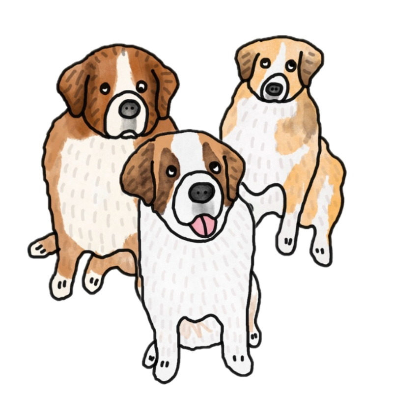 カナダで超大型犬と暮らす Northern Field