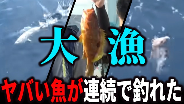 堤防から８時間かかった場所に超巨大なえびを落としたらとんでもないのが連続して食ってきた