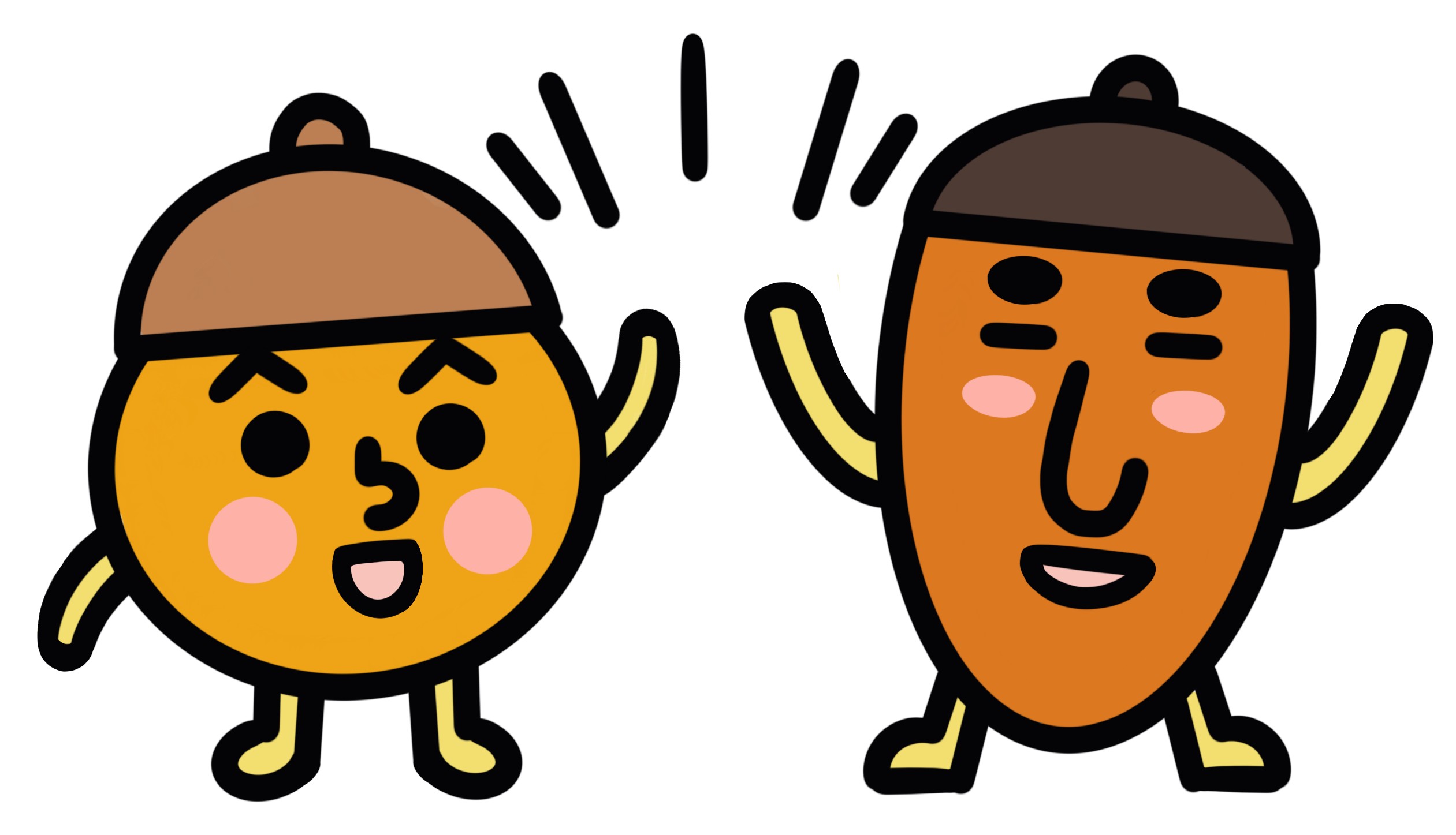 ドングリマツリ