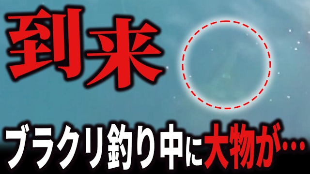 ブラクリ釣り大物ヒラマサ到来