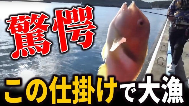 フェリーターミナルから驚きの仕掛けでとにかく大漁に魚を釣る！