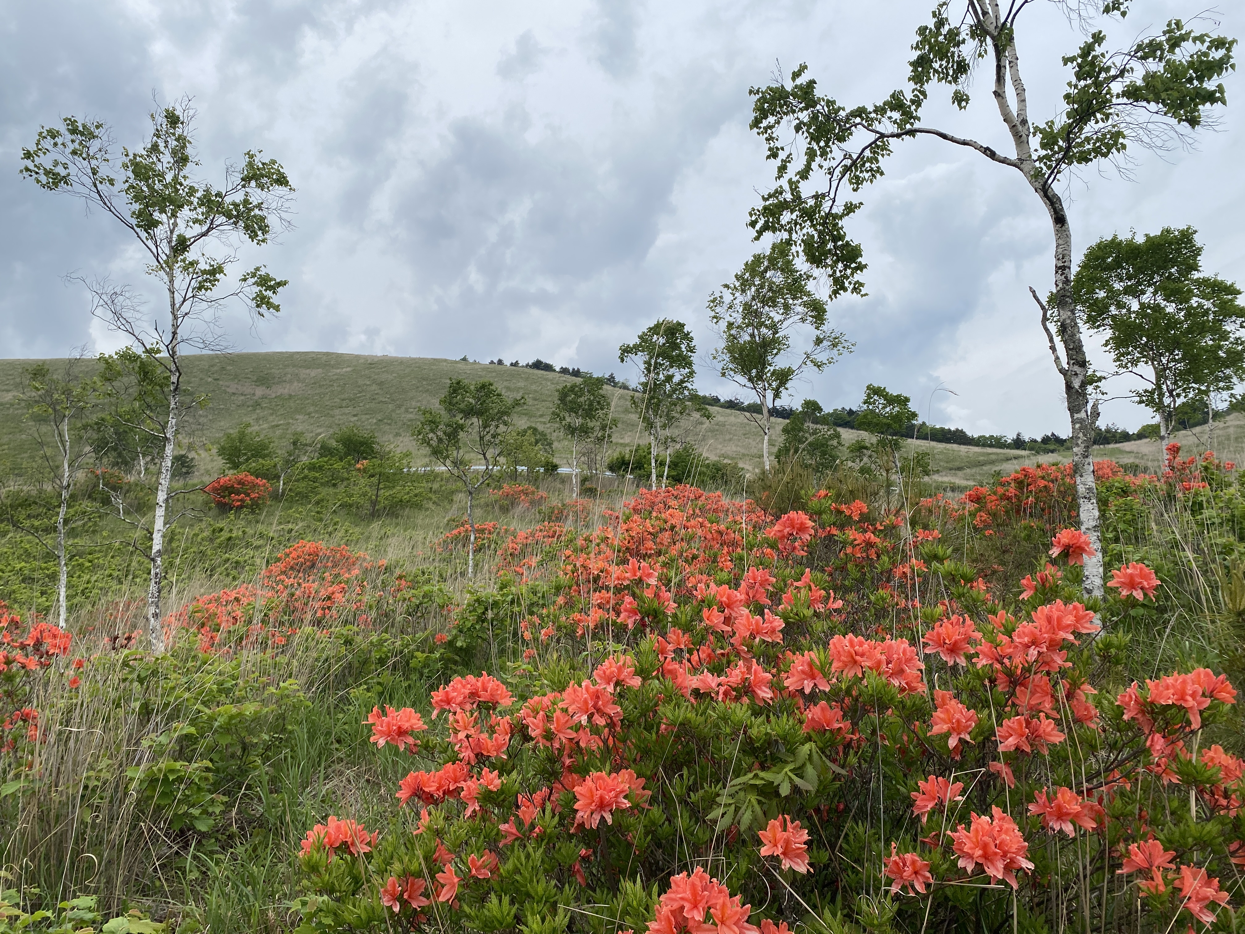 宿からのお知らせ | 標高1,400mの山宿｜ヒュッテ ジル白樺湖–公式