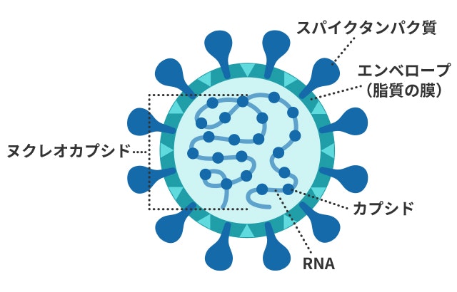 新型コロナワクチンのレプリコンワクチンとは何ですか？ ｜新型コロナウイルス感染症