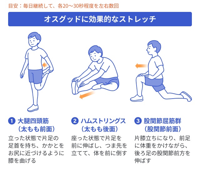 オスグッドに効くストレッチを説明する図です
