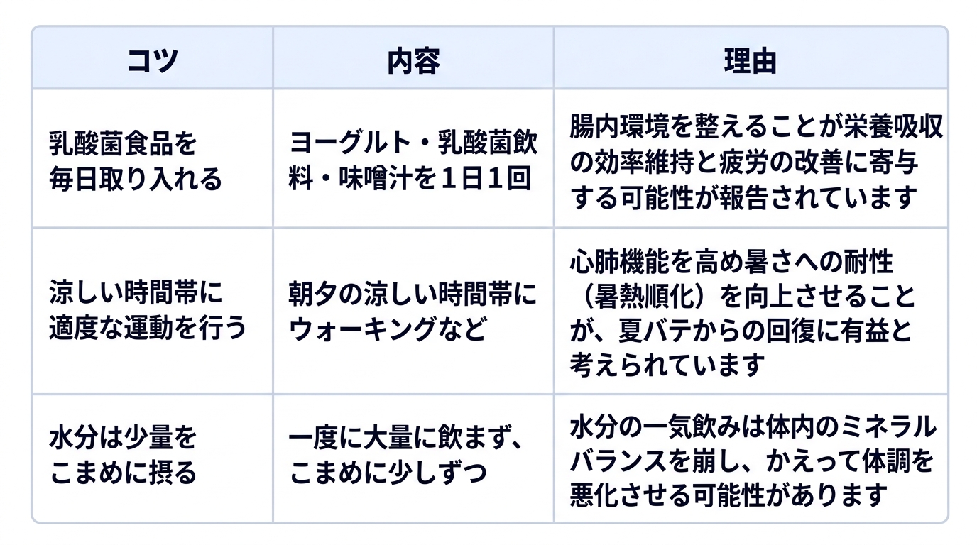 夏バテの回復を促す上での日常生活の工夫について、3つのコツとその内容、理由をまとめた表です。1つ目は「乳酸菌食品を毎日取り入れる」で、ヨーグルト・乳酸菌飲料・味噌汁を1日1回摂ることです。理由は「腸内環境を整えることが栄養吸収の効率維持と疲労の改善に寄与する可能性が報告されています」という点です。2つ目は「涼しい時間帯に適度な運動を行う」で、朝夕の涼しい時間帯にウォーキングなどをすることです。理由は「心肺機能を高め暑さへの耐性（暑熱順化）を向上させることが、夏バテからの回復に有益と考えられています」という点です。3つ目は「水分は少量をこまめに摂る」で、一度に大量に飲まず、こまめに少しずつ飲むことです。理由は「水分の一気飲みは体内のミネラルバランスを崩し、かえって体調を悪化させる可能性があります」という点です。