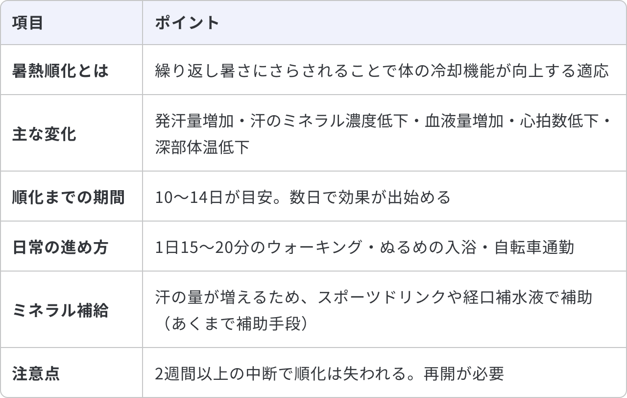 暑熱順化で暑さに備える体づくりについてまとめた表です。暑熱順化とは、繰り返し暑さにさらされることで体の冷却機能が向上する適応のことです。主な変化として、発汗量増加・汗のミネラル濃度低下・血液量増加・心拍数低下・深部体温低下が起こります。順化までの期間は10〜14日が目安ですが、数日で効果が出始めます。日常の進め方は、1日15〜20分のウォーキングやぬるめの入浴、自転車通勤などです。ミネラル補給については、汗の量が増えるため、スポーツドリンクや経口補水液で補助します(あくまで補助手段です)。注意点として、2週間以上の中断で順化は失われるため、再開が必要です。