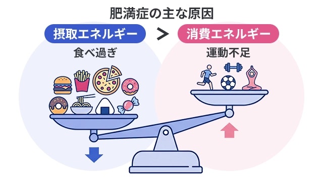 肥満症の主な原因として、食べ過ぎによる摂取エネルギーが運動不足による消費エネルギーを上回り、天秤が傾いているイラストで解説しています。