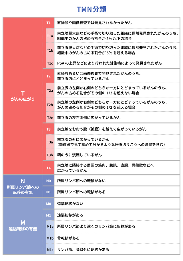 前立腺がんのTNM分類について教えてください。 ｜前立腺がん