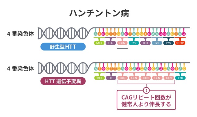 異常な遺伝子配列を説明する図です