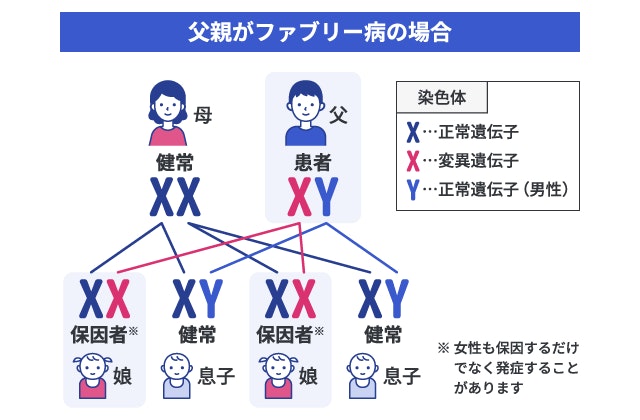 母親が健常で、父親がファブリー病患者である場合の遺伝確率を性染色体（XX・XY）で示すパターン図。生まれてくる娘は、父親の異常なX染色体が必ず遺伝するため、100％の確率で保因者となる。息子にはX染色体が遺伝しない（必ずY染色体が遺伝する）ため、発症する確率は0％となる。X連鎖性遺伝の仕組みを図解。