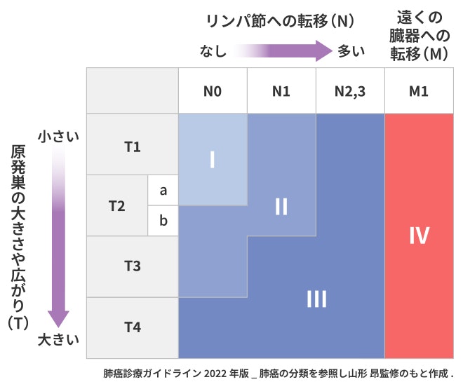 TMN分類の表