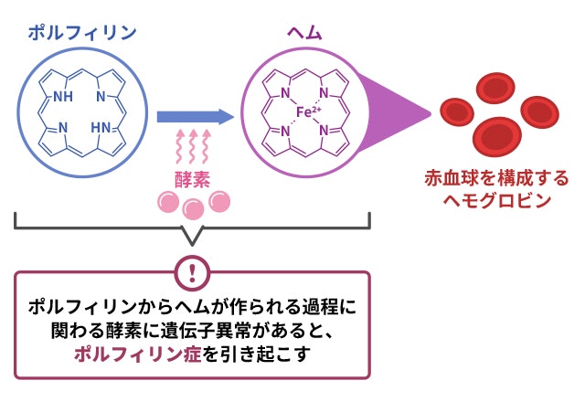 ポルフィリン症を説明する図です