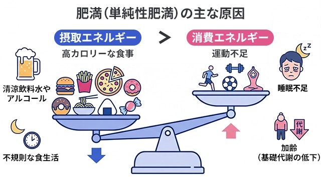 肥満（単純性肥満）の主な原因として、高カロリーな食事や不規則な食生活などの摂取エネルギー過多と、運動・睡眠不足や加齢による代謝低下などの消費エネルギー不足が天秤で傾いている状態を示すイラストです。