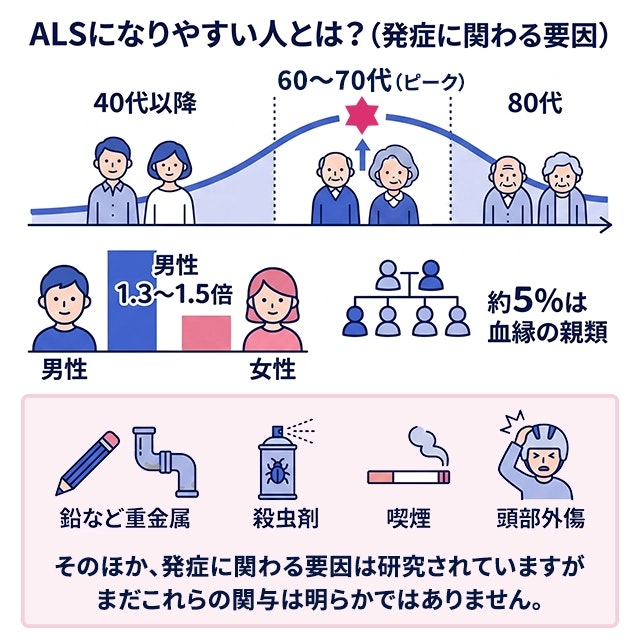 ALS(筋萎縮性側索硬化症)になりやすい人について、発症に関わる要因をまとめた解説図です。40代以降から発症し60〜70代でピークを迎える年齢分布のグラフや、男性が女性の1.3〜1.5倍多い男女比、約5%の遺伝的要因をイラストで示しています。また、鉛などの重金属、殺虫剤、喫煙、頭部外傷といったアイコンを並べ、未確定ながらも研究が進められていることを説明しています。