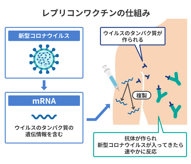 新型コロナワクチンのレプリコンワクチンとは何ですか？ ｜新型コロナウイルス感染症