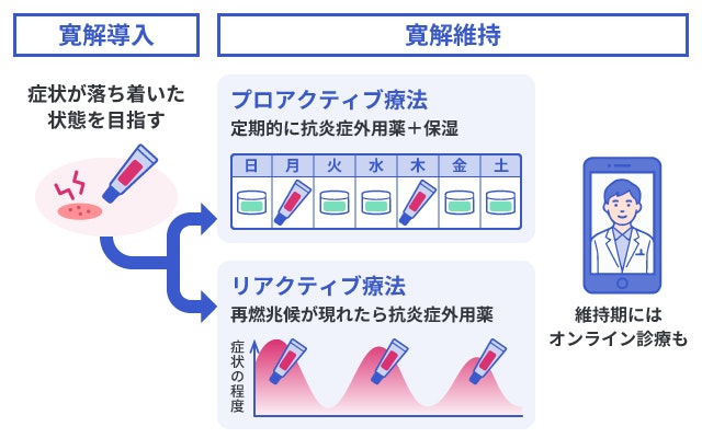 アトピー性皮膚炎の寛解導入から維持までの治療の流れを解説した図。プロアクティブ療法とリアクティブ療法の薬の塗り方の違いや、維持期のオンライン診療の活用について、グラフやイラストを用いて示しています。