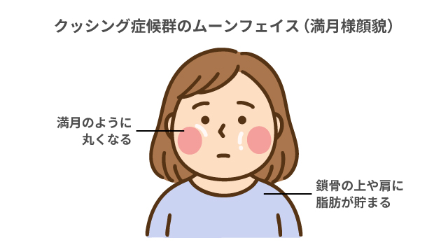 満月様 満月様専用 満月様、専用ページ 各種パーツ
