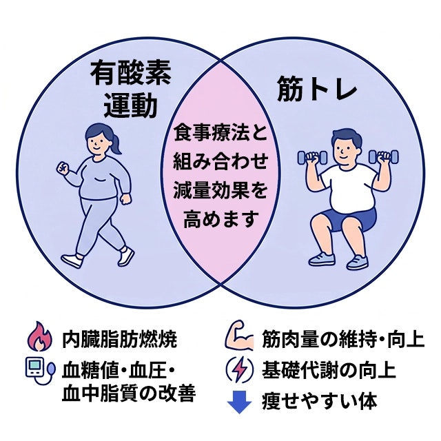 肥満症の治療における運動療法の役割を2つの側面から解説したベン図です。有酸素運動では内臓脂肪を燃焼させ、血糖値、血圧、血中脂質の改善効果が得られます。筋トレでは筋肉量の維持や向上、基礎代謝の向上につながり、痩せやすい体を作ります。これらを食事療法と組み合わせ、減量効果を高めます。