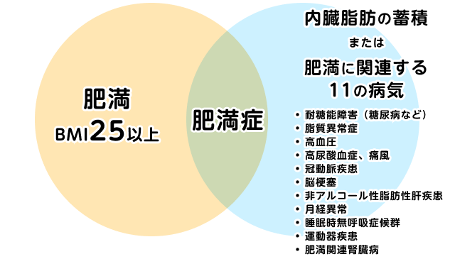 健康情報館-imagem は、測定テープとその隣にある脂肪計を備えたアナログスケールを示しています。肥満が引き起こす可能性のある病気。肥満のリスク
