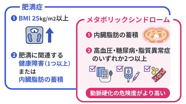 肥満症とメタボリックシンドロームの違いをイラスト付きで比較し、メタボリックシンドロームの方が動脈硬化の危険度がより高いことを示したベン図です。