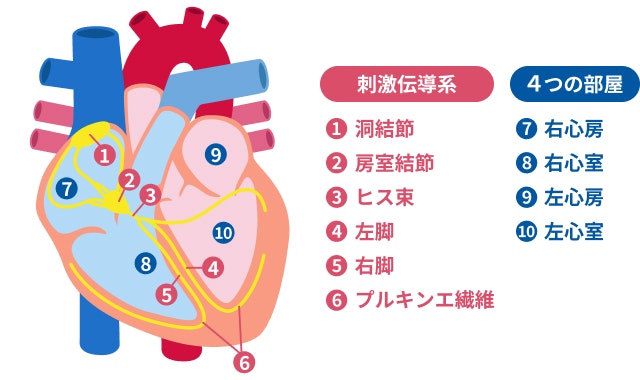  洞不全症候群を説明する図です
