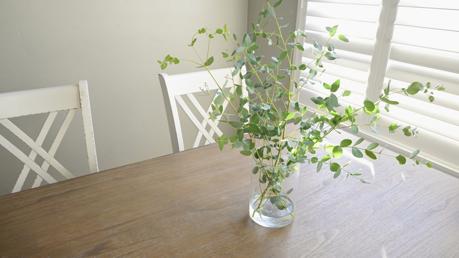 植物画像