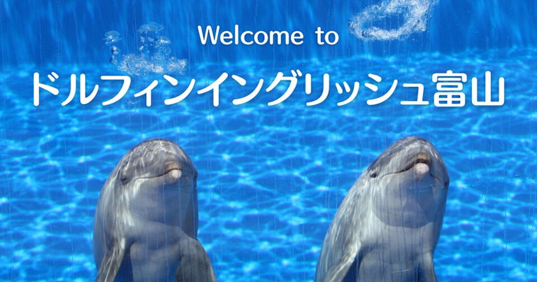 ドルフィンイングリッシュ富山