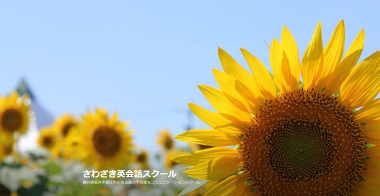 さわざき英会話スクール