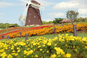 オランダ発教育法!自ら決断できる力を養うピラミッドメソッドとは?