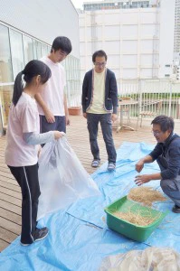 もみを回収する保育士