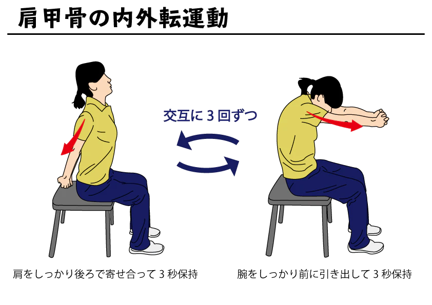 肩甲骨の内外転運動の図