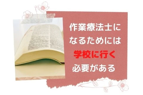 作業療法士になるためには学校に行く必要がある .jpg