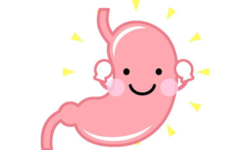 胃のイラスト