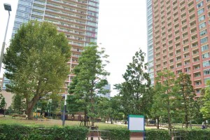 保育園前の公園