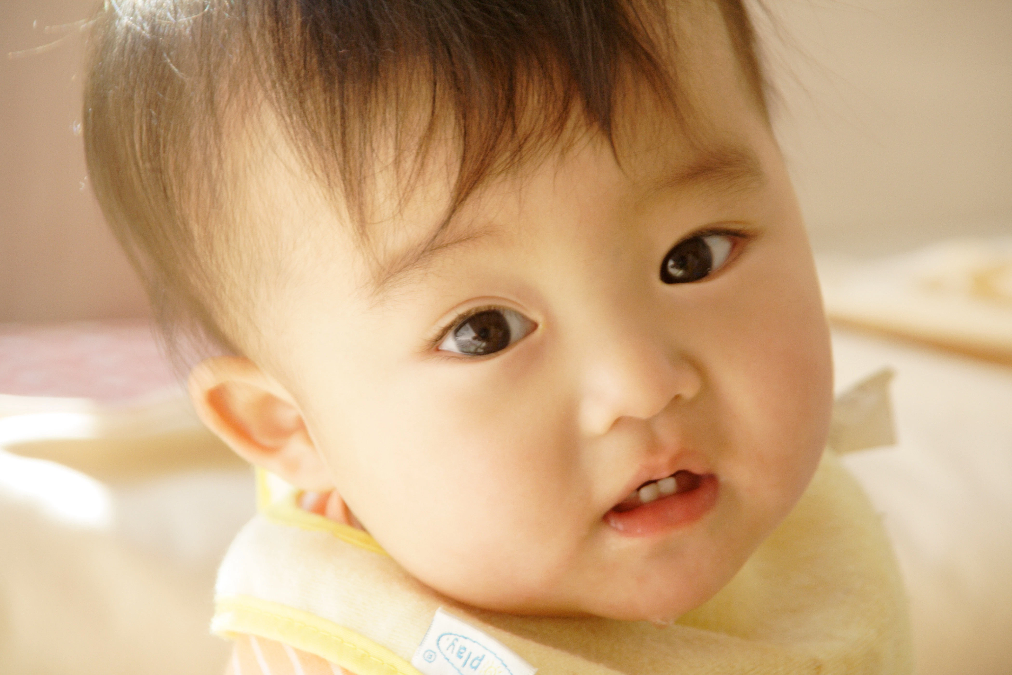 kid0062-009