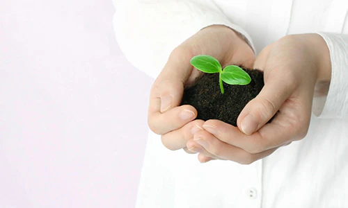 助産師として働きたい!求人を見る前に知っておきたいこと