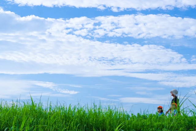 青空の下歩く大人と子供たち