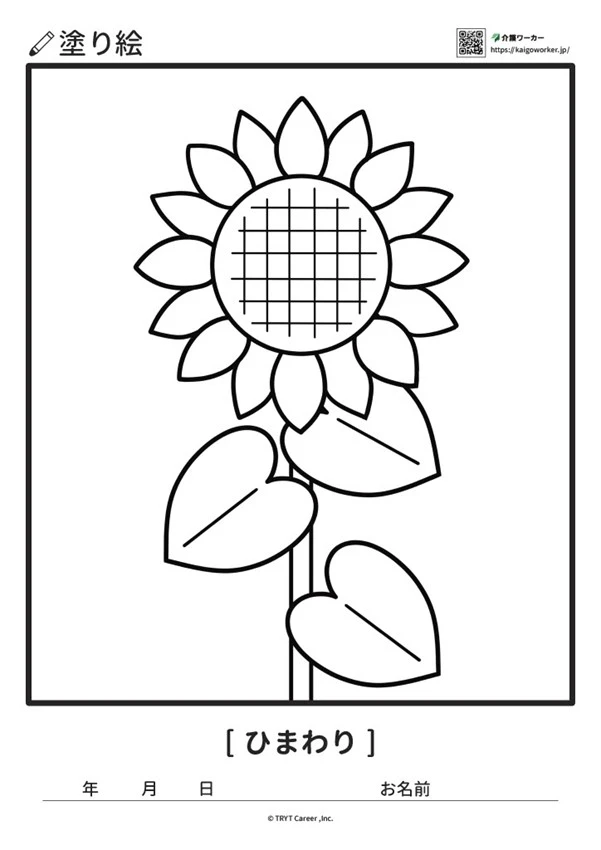 向日葵の塗り絵