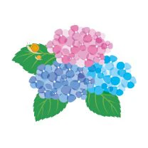 あじさいのイラスト