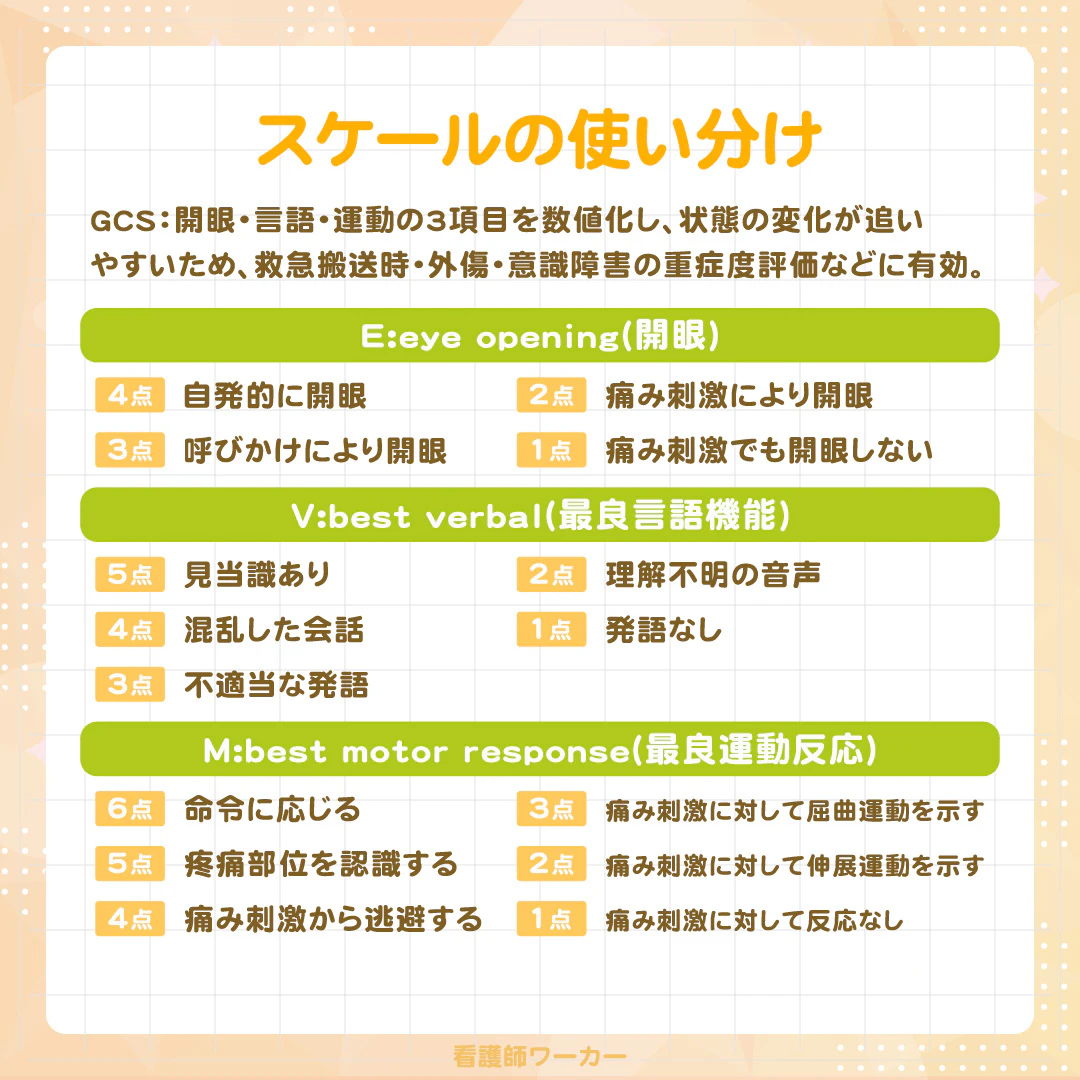 （GCS）図1 