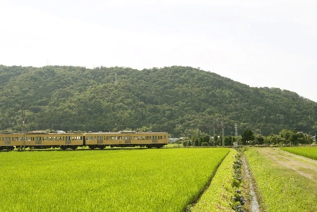 田園風景と電車