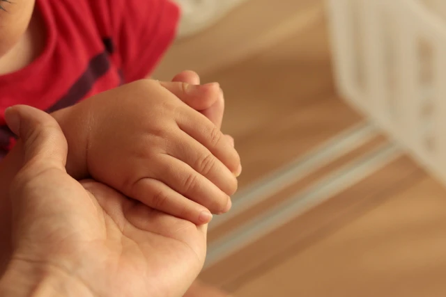 大人の手と子供の手