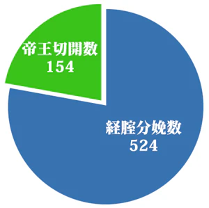 分娩実績(2016年度)